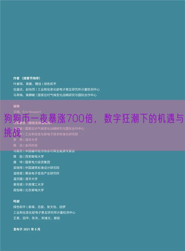 狗狗币一夜暴涨700倍，数字狂潮下的机遇与挑战