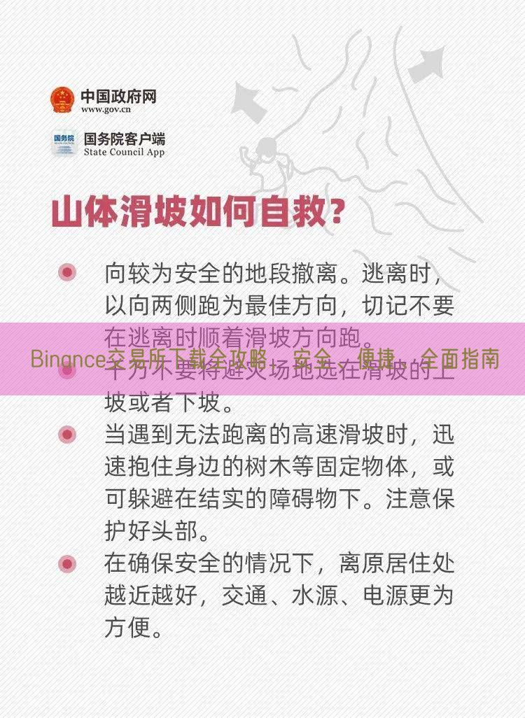 Binance交易所下载全攻略，安全、便捷、全面指南