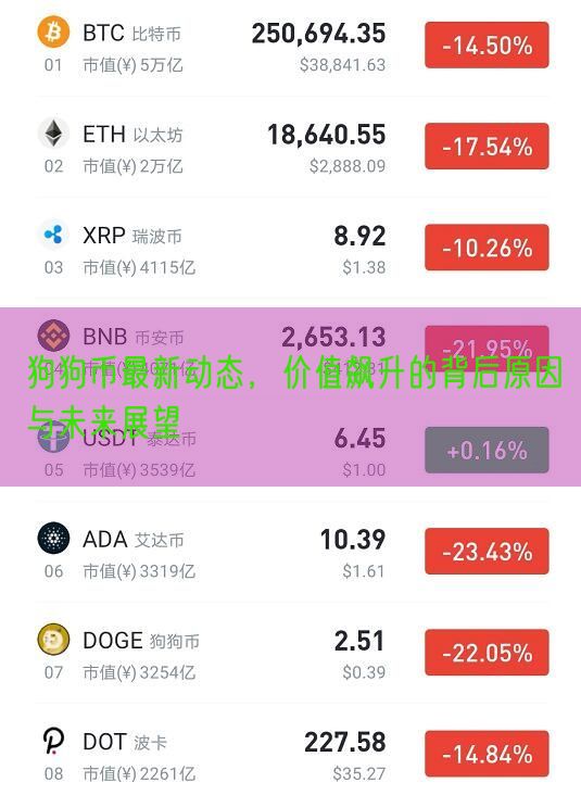 狗狗币最新动态，价值飙升的背后原因与未来展望