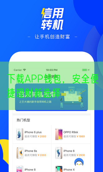 下载APP钱包，安全便捷理财新选择