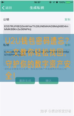 U2U钱包密码遗忘？一文教你轻松找回，守护你的数字资产安全！