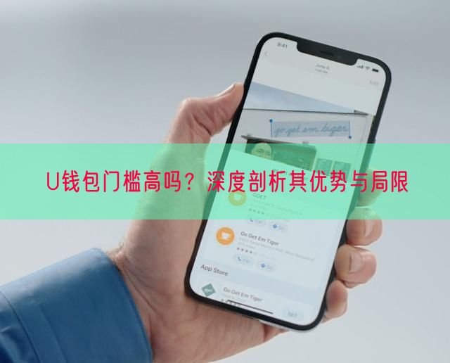 U钱包门槛高吗？深度剖析其优势与局限