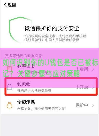 如何识别你的U钱包是否已被标记？关键步骤与应对策略