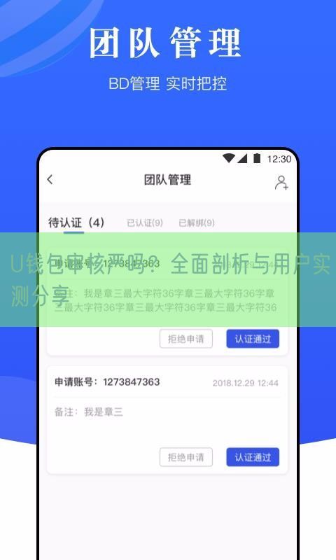 U钱包审核严吗？全面剖析与用户实测分享