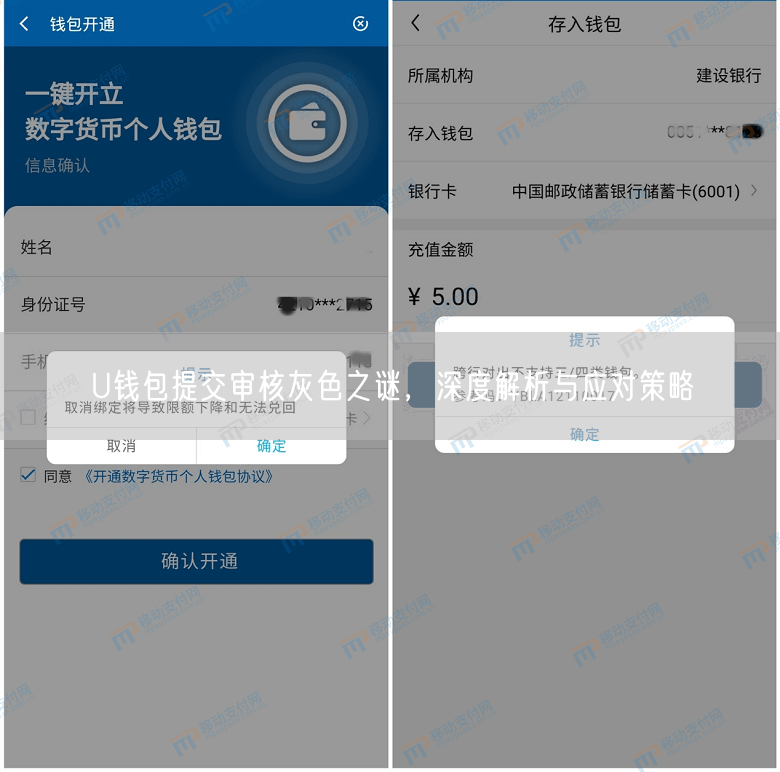 U钱包提交审核灰色之谜，深度解析与应对策略