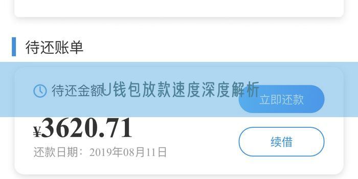 U钱包放款速度深度解析
