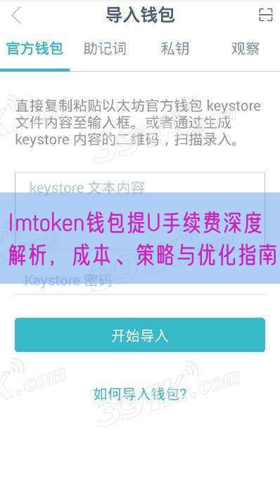 Imtoken钱包提U手续费深度解析，成本、策略与优化指南