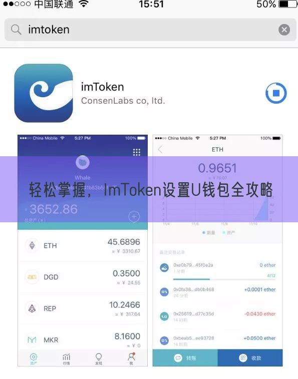 轻松掌握，ImToken设置U钱包全攻略