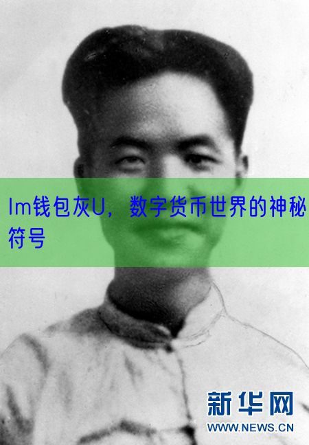 Im钱包灰U，数字货币世界的神秘符号