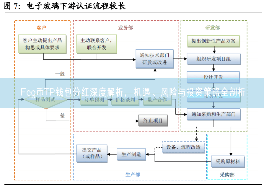 Feg币TP钱包分红深度解析，机遇、风险与投资策略全剖析