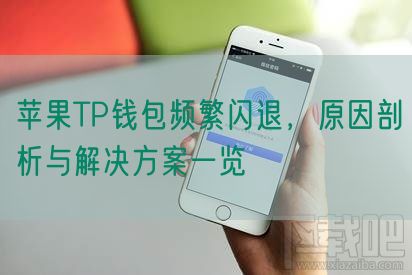 苹果TP钱包频繁闪退，原因剖析与解决方案一览