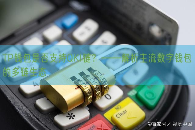 TP钱包是否支持QKI链？——解析主流数字钱包的多链生态