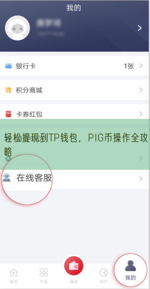 轻松提现到TP钱包，PIG币操作全攻略