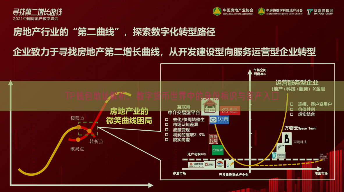 TP钱包地址解析，数字货币世界中的身份标识与资产入口