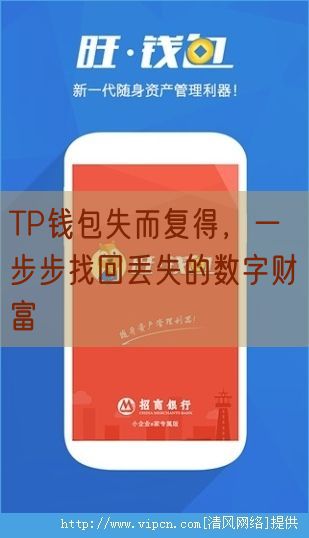 TP钱包失而复得，一步步找回丢失的数字财富