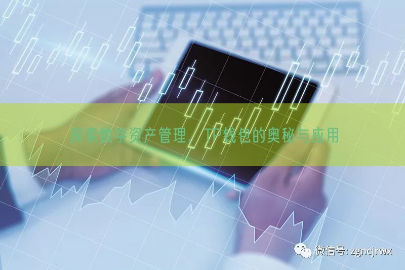 探索数字资产管理，TP钱包的奥秘与应用