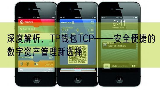 深度解析，TP钱包TCP——安全便捷的数字资产管理新选择