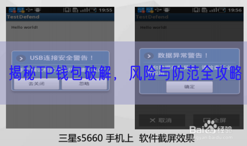 揭秘TP钱包破解，风险与防范全攻略