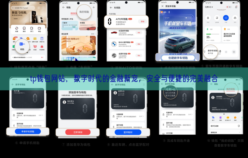 tp钱包网站，数字时代的金融新宠，安全与便捷的完美融合