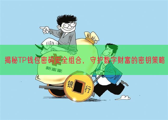 揭秘TP钱包密码安全组合，守护数字财富的密钥策略