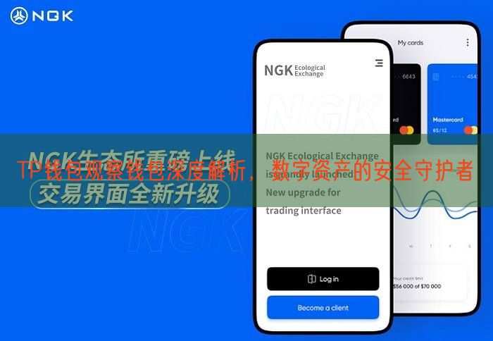 TP钱包观察钱包深度解析，数字资产的安全守护者