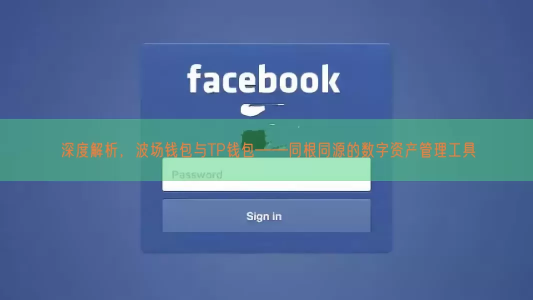 深度解析，波场钱包与TP钱包——同根同源的数字资产管理工具