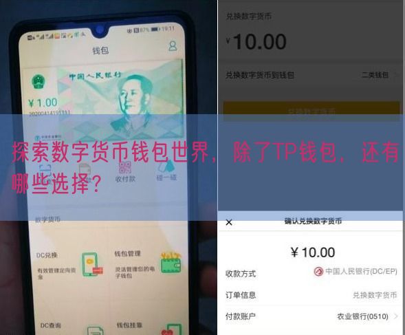 探索数字货币钱包世界，除了TP钱包，还有哪些选择？