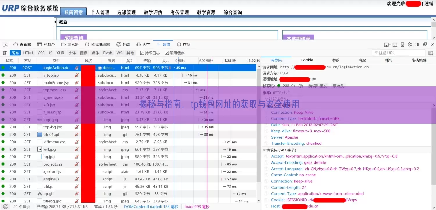 揭秘与指南，tp钱包网址的获取与安全使用