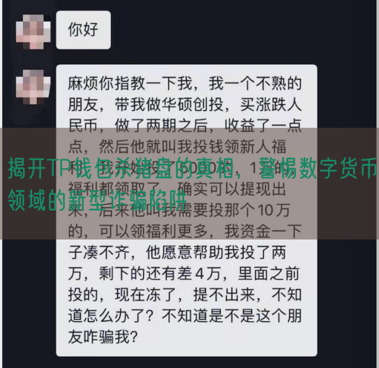 揭开TP钱包杀猪盘的真相，警惕数字货币领域的新型诈骗陷阱