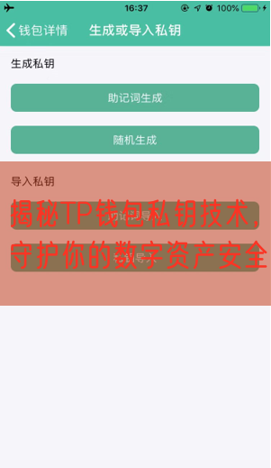 揭秘TP钱包私钥技术，守护你的数字资产安全
