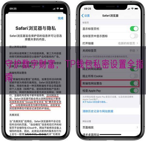 守护数字财富，TP钱包私密设置全指南
