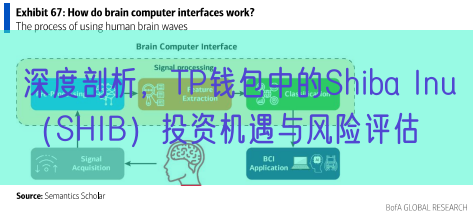 深度剖析，TP钱包中的Shiba Inu（SHIB）投资机遇与风险评估