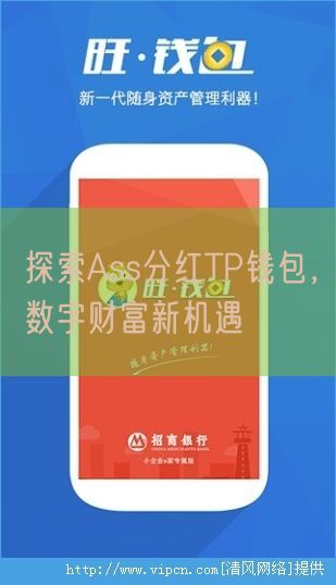 探索Ass分红TP钱包，数字财富新机遇