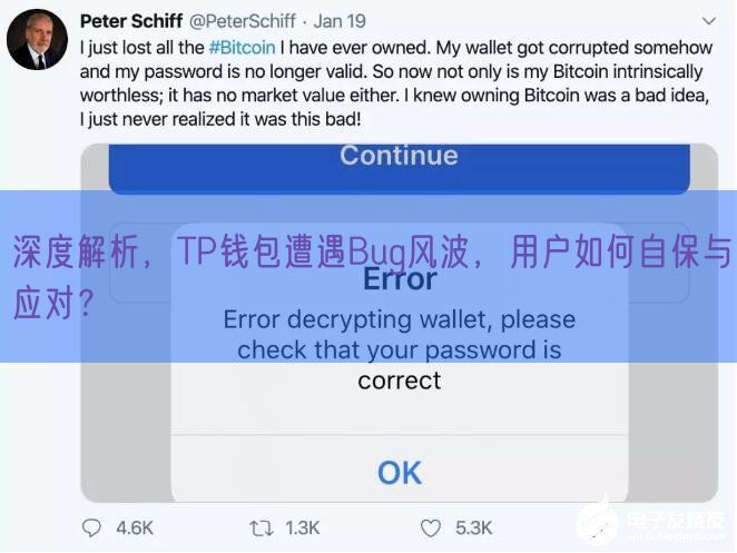 深度解析，TP钱包遭遇Bug风波，用户如何自保与应对？