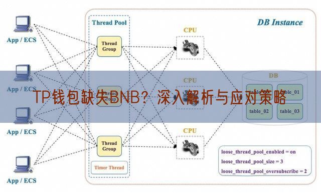 TP钱包缺失BNB？深入解析与应对策略