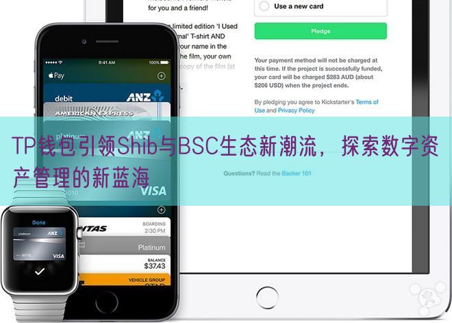 TP钱包引领Shib与BSC生态新潮流，探索数字资产管理的新蓝海