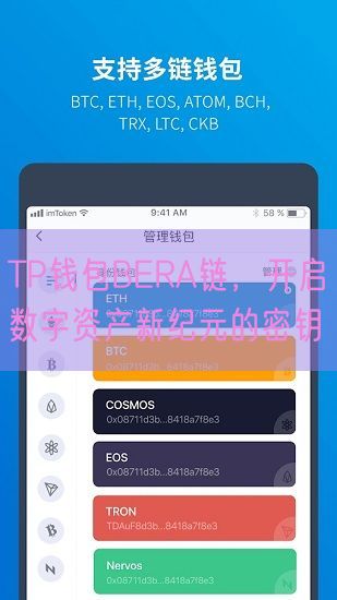 TP钱包BERA链，开启数字资产新纪元的密钥