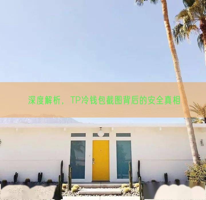 深度解析，TP冷钱包截图背后的安全真相