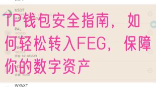 TP钱包安全指南，如何轻松转入FEG，保障你的数字资产