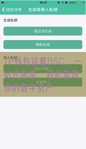 TP钱包设置BSC，一站式指南，轻松管理你的数字资产