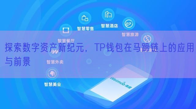 探索数字资产新纪元，TP钱包在马蹄链上的应用与前景