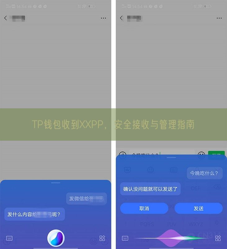 TP钱包收到XXPP，安全接收与管理指南