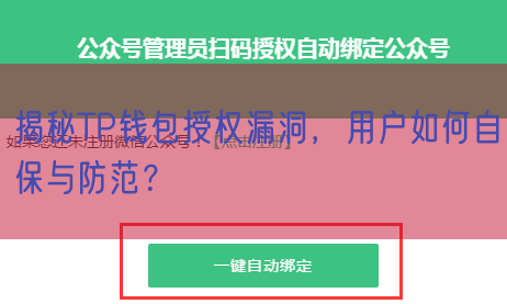 揭秘TP钱包授权漏洞，用户如何自保与防范？