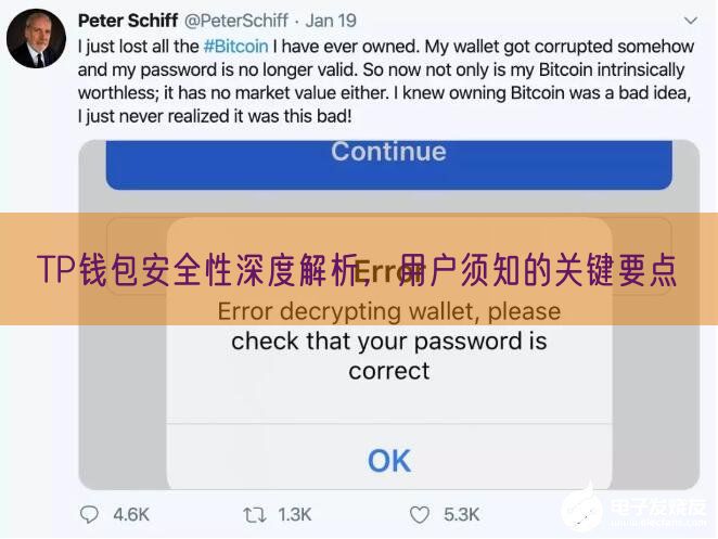  TP钱包安全性深度解析，用户须知的关键要点