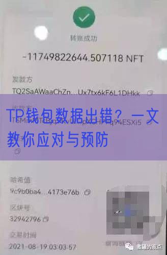 TP钱包数据出错？一文教你应对与预防