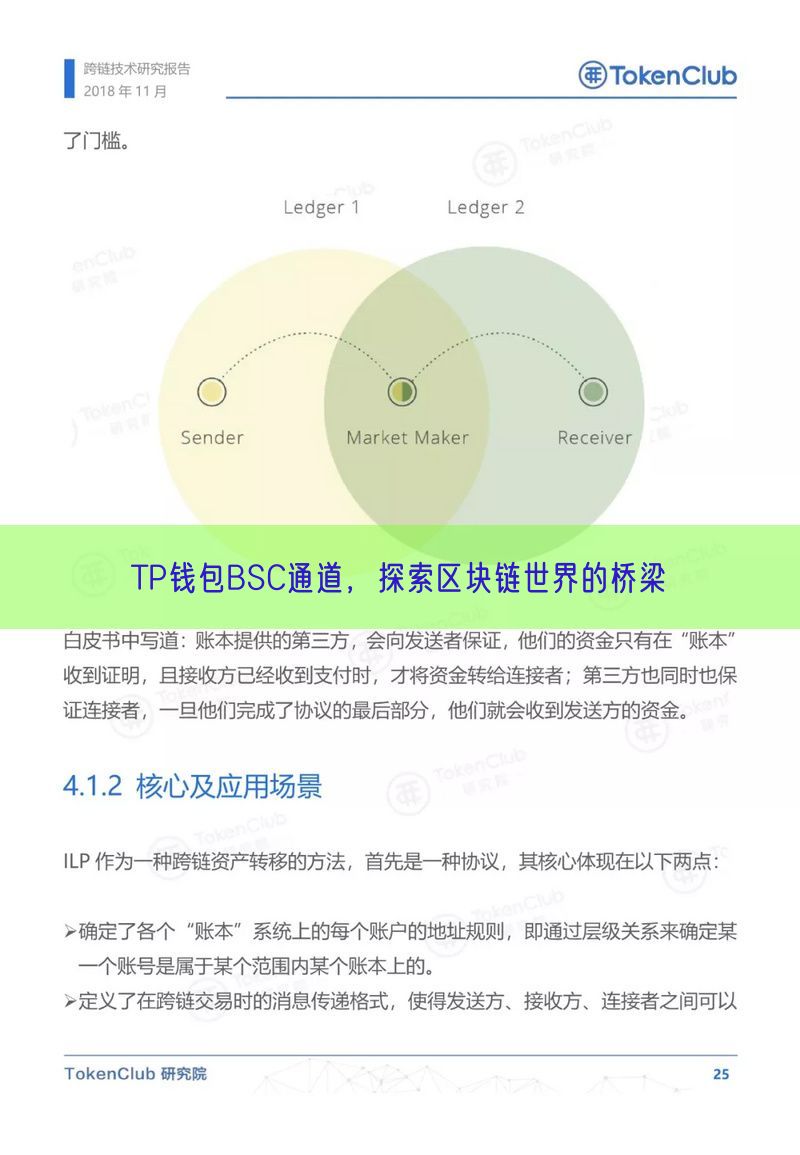 TP钱包BSC通道，探索区块链世界的桥梁