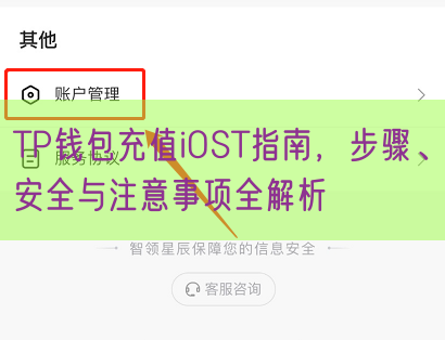TP钱包充值iOST指南，步骤、安全与注意事项全解析