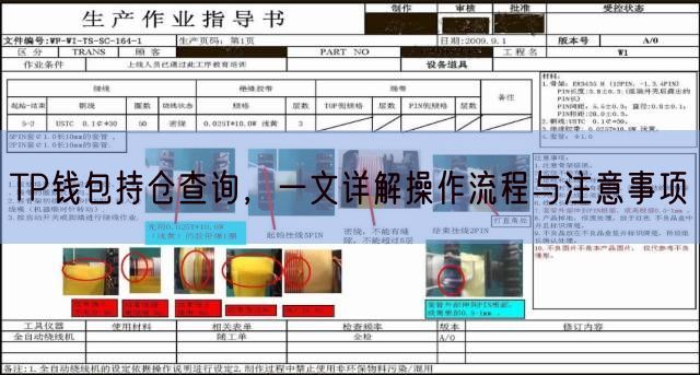 TP钱包持仓查询，一文详解操作流程与注意事项