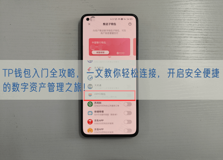 TP钱包入门全攻略，一文教你轻松连接，开启安全便捷的数字资产管理之旅！