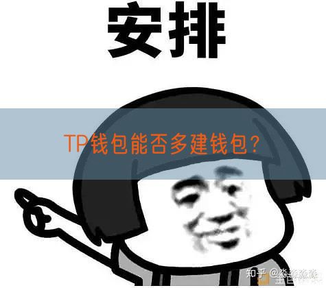 TP钱包能否多建钱包？